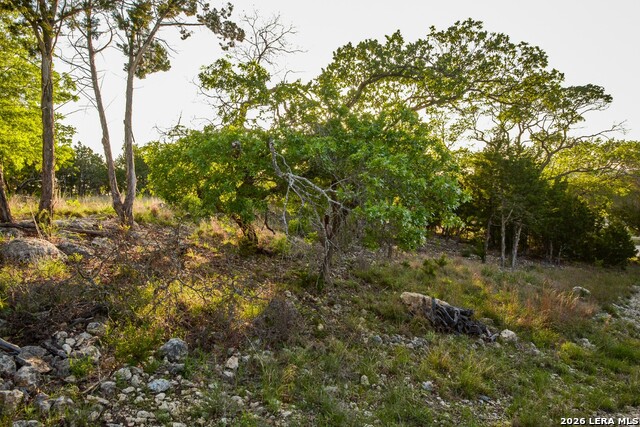 Image 5 of 10 For 827 Thanksgiving