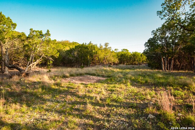 Image 6 of 10 For 827 Thanksgiving