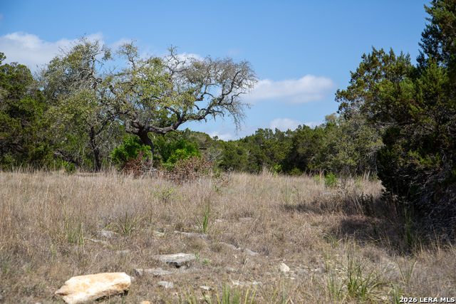 Image 32 of 42 For Tbd Rustling Ridge