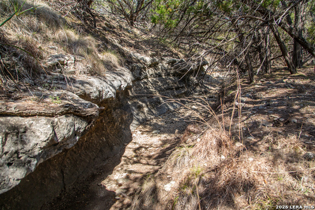 Image 37 of 42 For Tbd Rustling Ridge