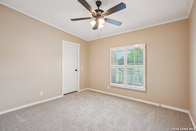 Image 21 of 56 For 250 Wharton Road