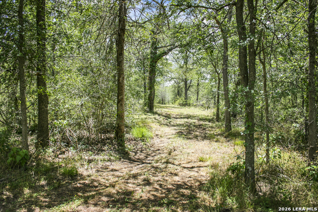 Image 10 of 57 For 01 Whitetail Dr