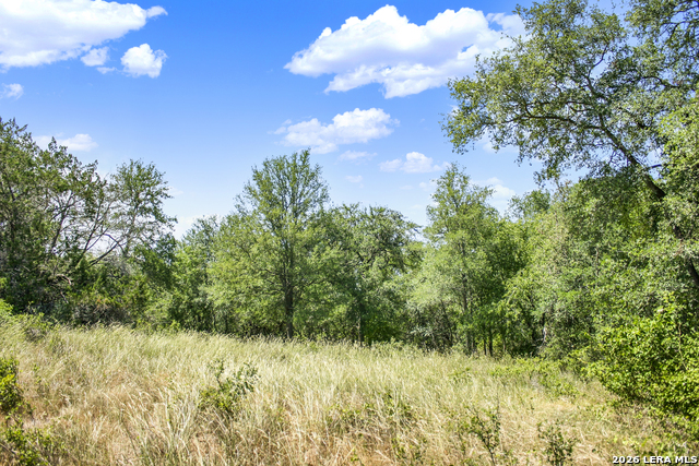 Image 11 of 57 For 01 Whitetail Dr