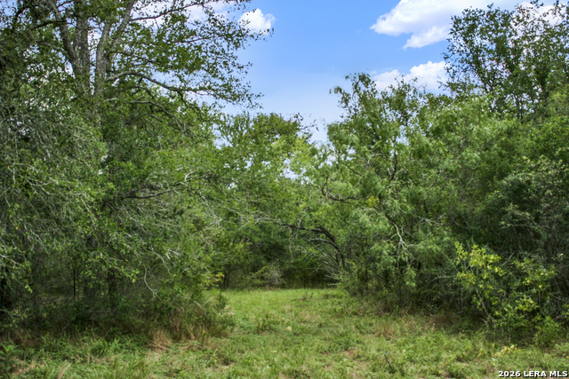 Image 12 of 57 For 01 Whitetail Dr