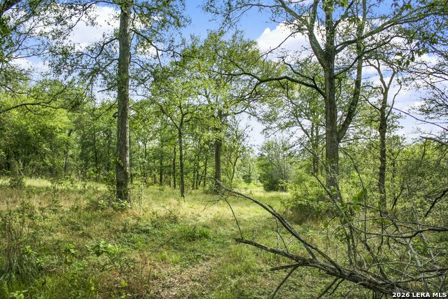 Image 14 of 57 For 01 Whitetail Dr