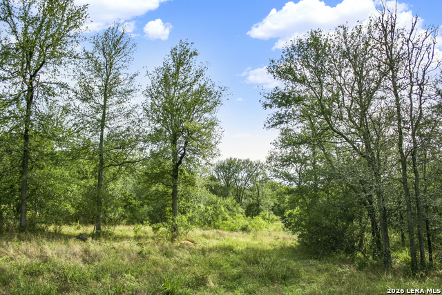 Image 15 of 57 For 01 Whitetail Dr