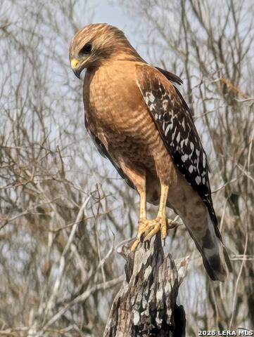 Image 17 of 57 For 01 Whitetail Dr