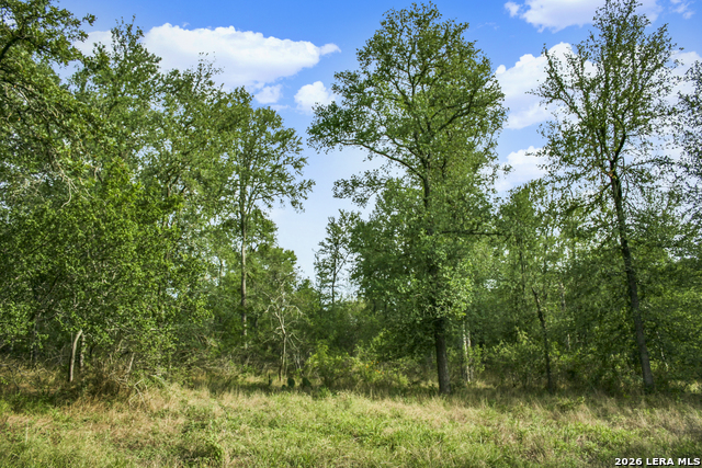 Image 18 of 57 For 01 Whitetail Dr