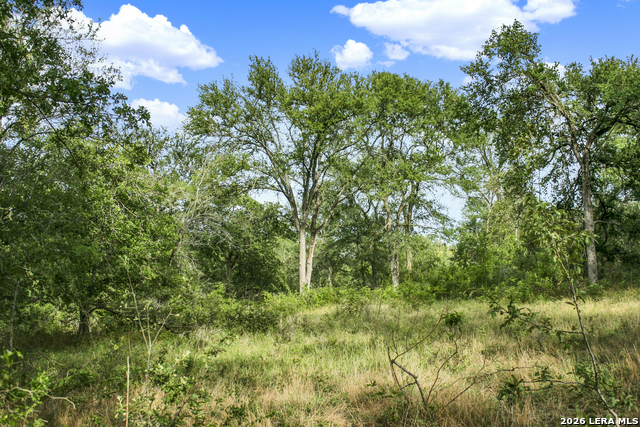 Image 19 of 57 For 01 Whitetail Dr