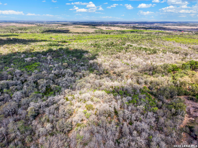 Image 2 of 57 For 01 Whitetail Dr