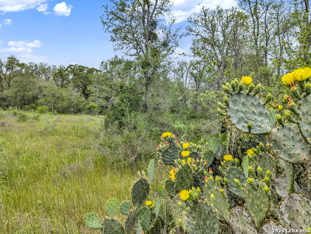 Image 20 of 57 For 01 Whitetail Dr