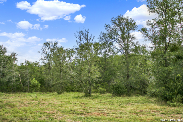 Image 22 of 57 For 01 Whitetail Dr