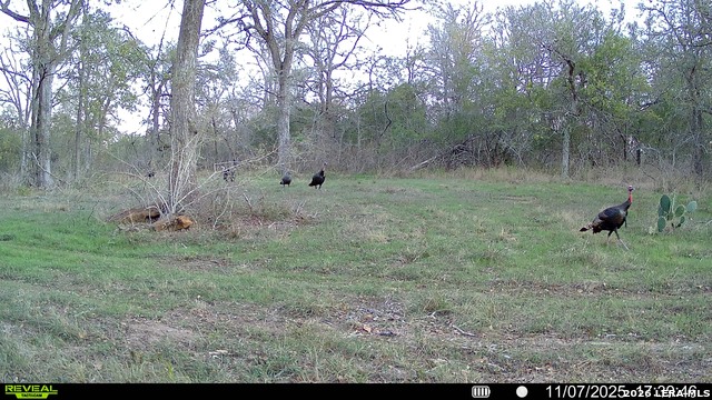 Image 23 of 57 For 01 Whitetail Dr