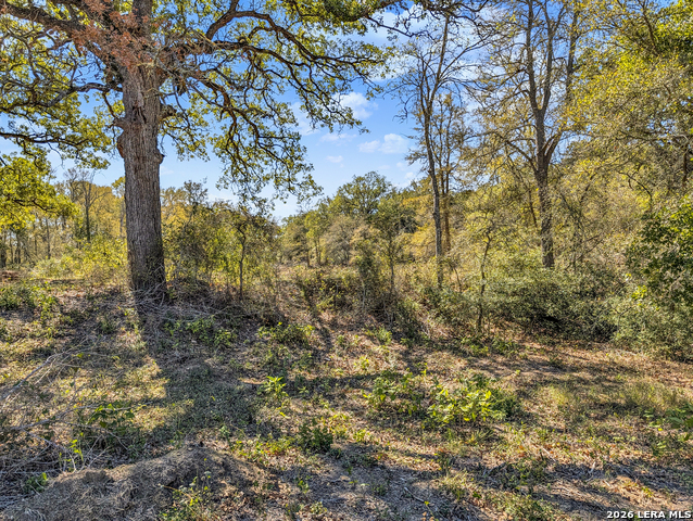 Image 25 of 57 For 01 Whitetail Dr