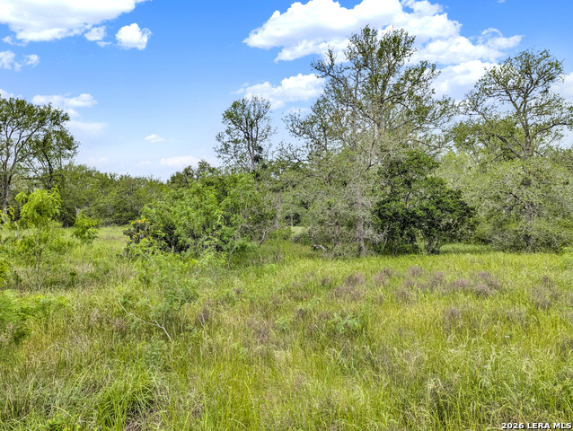 Image 27 of 57 For 01 Whitetail Dr