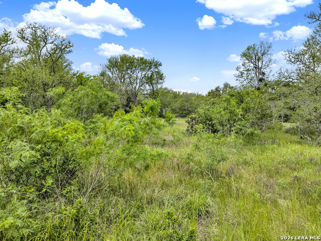 Image 30 of 57 For 01 Whitetail Dr