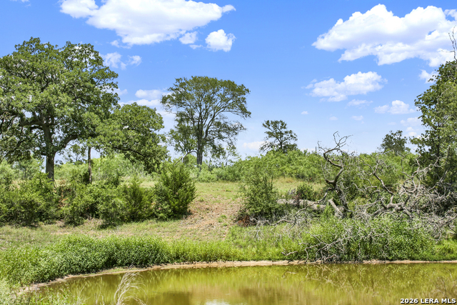 Image 32 of 57 For 01 Whitetail Dr