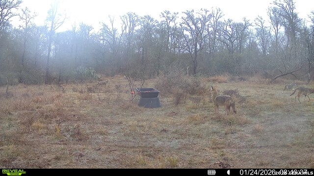 Image 33 of 57 For 01 Whitetail Dr