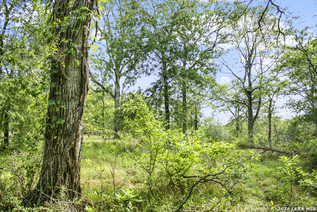 Image 34 of 57 For 01 Whitetail Dr