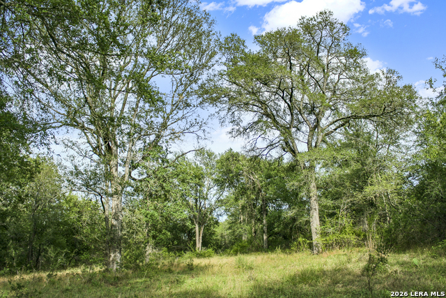 Image 36 of 57 For 01 Whitetail Dr