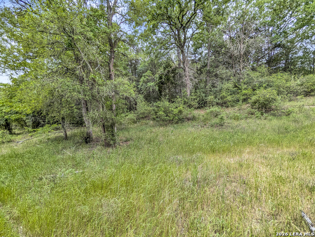 Image 38 of 57 For 01 Whitetail Dr