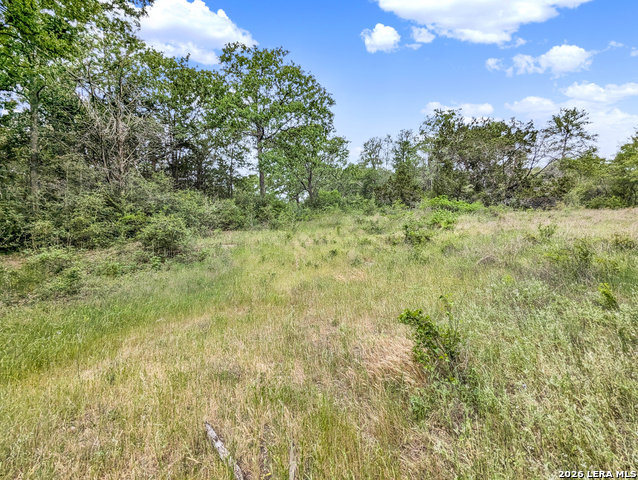 Image 39 of 57 For 01 Whitetail Dr