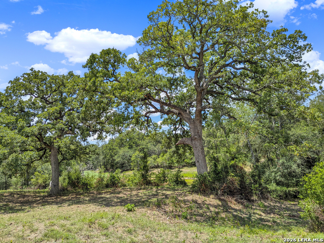 Image 4 of 57 For 01 Whitetail Dr