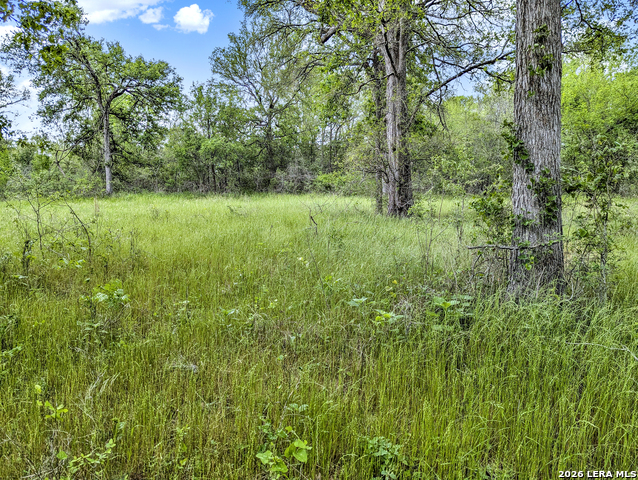 Image 41 of 57 For 01 Whitetail Dr