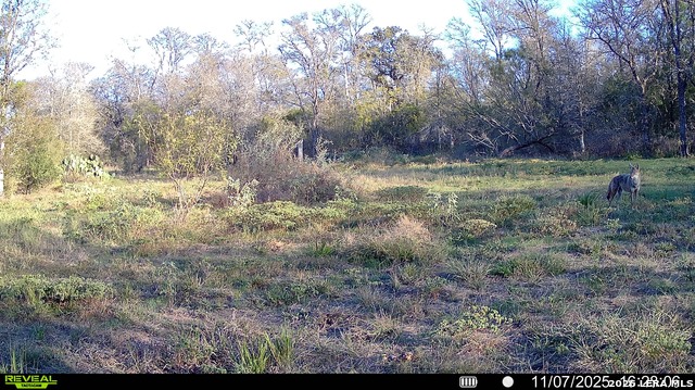 Image 42 of 57 For 01 Whitetail Dr