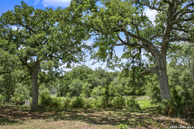 Image 44 of 57 For 01 Whitetail Dr