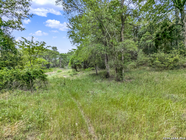 Image 45 of 57 For 01 Whitetail Dr