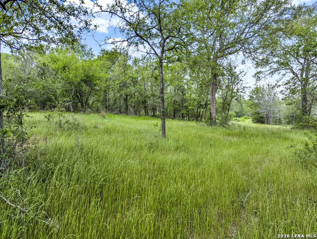 Image 46 of 57 For 01 Whitetail Dr