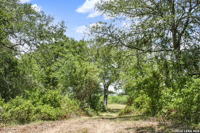 Image 47 of 57 For 01 Whitetail Dr