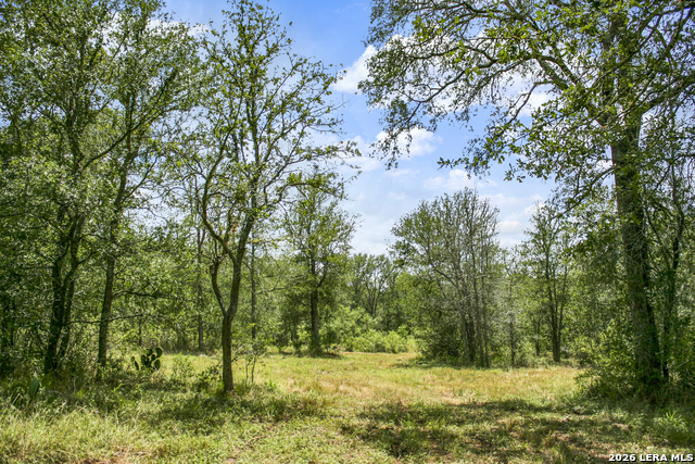 Image 48 of 57 For 01 Whitetail Dr