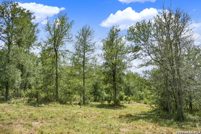 Image 49 of 57 For 01 Whitetail Dr