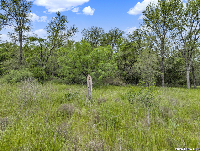 Image 50 of 57 For 01 Whitetail Dr