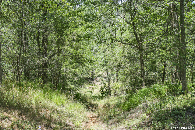 Image 51 of 57 For 01 Whitetail Dr