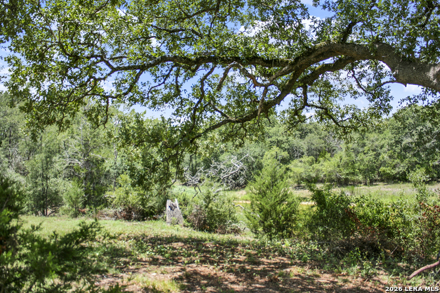 Image 52 of 57 For 01 Whitetail Dr