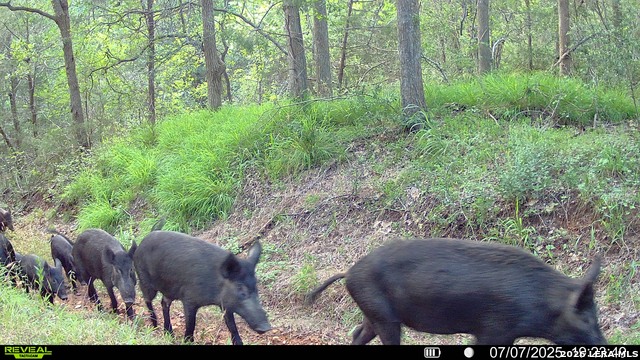 Image 6 of 57 For 01 Whitetail Dr