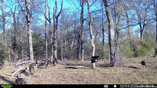 Image 8 of 57 For 01 Whitetail Dr