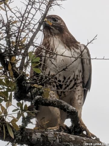 Image 9 of 57 For 01 Whitetail Dr