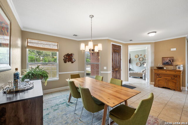 Image 11 of 51 For 13039 Walking Horse