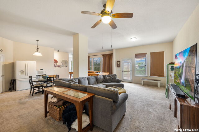 Image 16 of 51 For 13039 Walking Horse