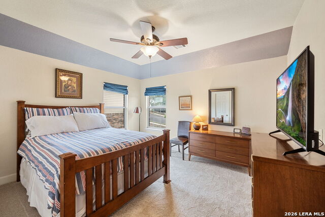 Image 20 of 51 For 13039 Walking Horse