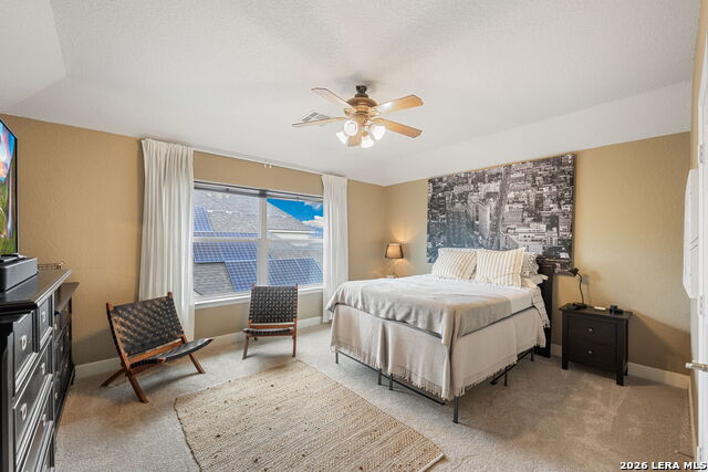 Image 25 of 51 For 13039 Walking Horse