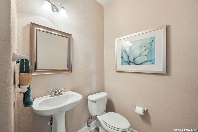 Image 36 of 51 For 13039 Walking Horse