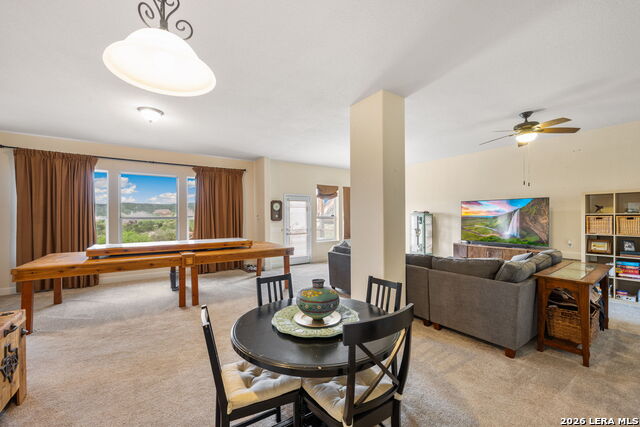 Image 37 of 51 For 13039 Walking Horse