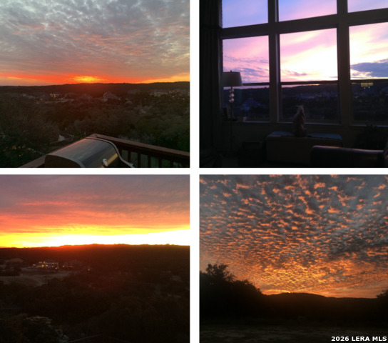 Image 47 of 51 For 13039 Walking Horse