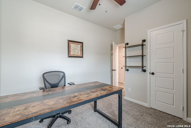 Image 34 of 42 For 519 Indian Blossom