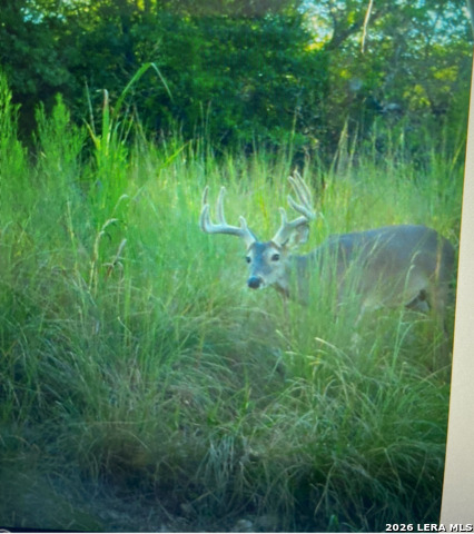 Image 81 of 86 For 97 Coleman Springs